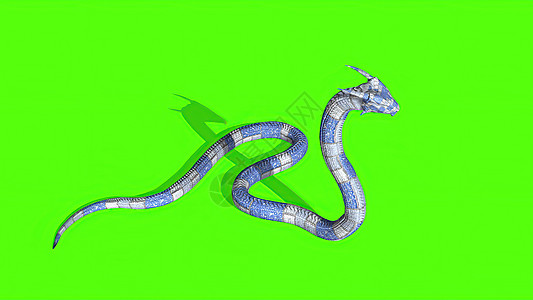 3d 插图  绿色屏幕上的蛇  背景野生动物动物镜头地毯攻击皇家情调眼睛宠物异国图片