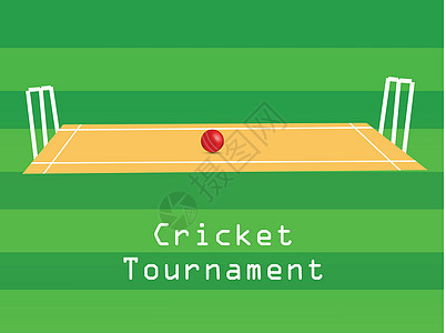 板球运动背景优胜者团队世界乐趣冠军测试杯子场地比赛锦标赛背景图片