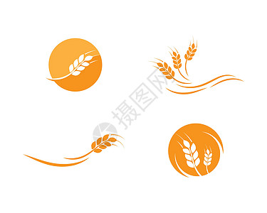 小麦标志模板标识农场谷物商业农业生长耳朵收成营养麸质图片