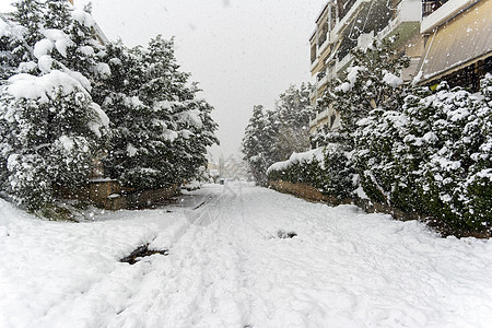 欧洲希腊首府雅典市雪暴期间 在Vrilisisia区完全铺满了积雪的公路上雪花景观建筑物暴风雪树木街道房屋邻里低温季节图片