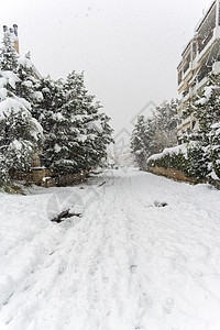 欧洲希腊首府雅典市雪暴期间 在Vrilisisia区完全铺满了积雪的公路上环境房屋城市天气低温街道景观雪花降雪树木图片