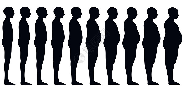 人类男性的剪影集从瘦到苗条到厚实的脂肪混合矢量适合苗条男性肥胖减肥健康和健康生活方式的概念图片