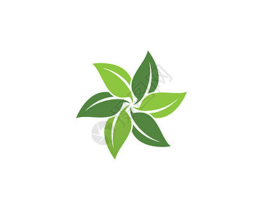 绿叶生态自然元素树叶热带环境生活生长叶子生物植物商业绿色图片