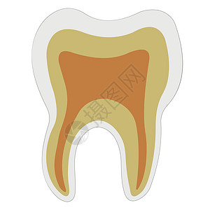 解剖形状牙齿牙本质牙釉质牙髓矢量标志牙科诊所的牙齿结构设计图片
