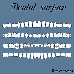 牙齿表面图片