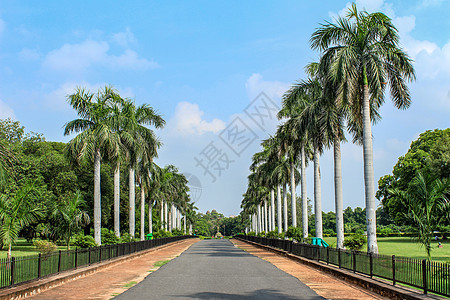 路中间的风景 两边都布满石膏图片