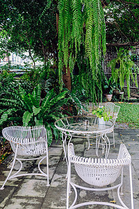 花园古老家具的详情建筑公园装饰外屋草地金属座位长椅椅子奢华图片