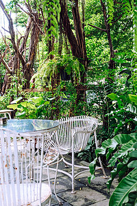 花园古老家具的详情装饰叶子玻璃外屋桌子建筑奢华复古绿色房子图片