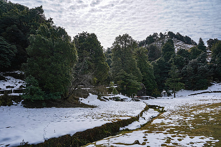 山中一片山谷的风景 山上满是雪雪和树木图片