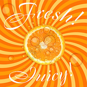 它制作图案新鲜多汁的橙色背景矢量橙子花香花朵派对酒精电脑装饰框架食品叶子图片