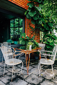 花园古老家具的详情椅子建筑绿色装饰家居风格园艺外屋奢华公园图片