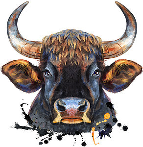 黑色强大的公牛与飞溅的水彩插图动物艺术家畜农业食物牛奶绘画哺乳动物农场牛肉图片