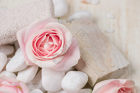 带玫瑰的垃圾邮件设置 在白木本底的温泉处理中使用的各种物品健康美丽浴室产品治疗香气花朵疗法白色蜡烛图片