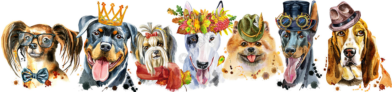用于装饰的狗水彩肖像的边框艺术小狗花圈围巾动物边帽绘画哺乳动物插图海报图片