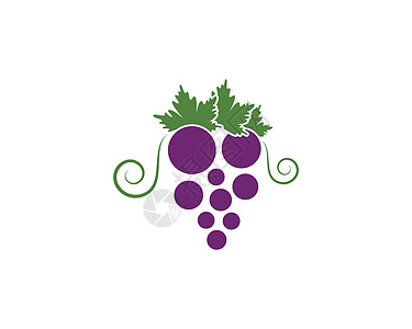 葡萄叶 ico农业紫色葡萄园植物标签酒厂插图菜单藤蔓收成图片