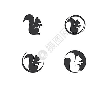 松鼠日志橙子插图动物哺乳动物栗鼠动物学艺术森林宠物品牌图片