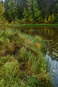 秋天初秋时的美景湖图片