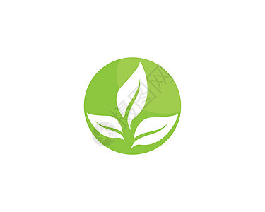 绿叶生态自然元素环境植物插图树叶绿色生长农场叶子生物商业图片