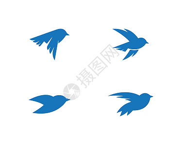 鸟标志模板商业动物蜂鸟标识翅膀创造力白色飞行蓝色公司图片