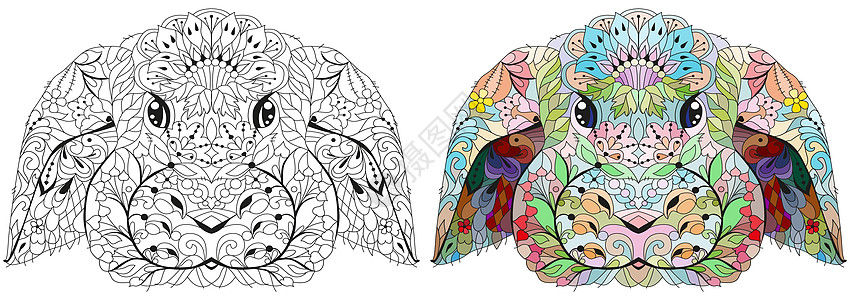 Zentangle 兔头 手绘装饰矢量图着色 颜色和轮廓系列图片