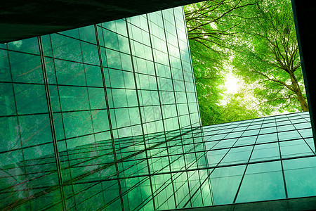 现代城市中的环保建筑 带叶子的绿色树枝和可持续的玻璃建筑 用于减少热量和二氧化碳 办公楼绿化环境 去绿色概念商业呼吸花园办公室植图片