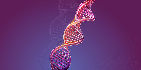 紫色糖紫色背景上的DNA双螺旋结构卫生化学科学基因生物染色体药品保健细胞测试设计图片