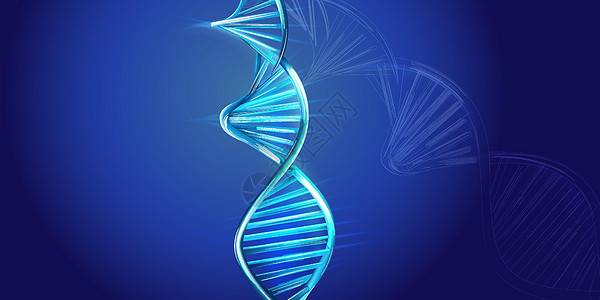 蓝色背景的DNA螺旋模型图片