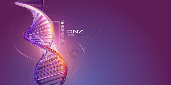 紫色背景上的DNA双螺旋结构卫生核酸染色体药品测试图表基因组细胞显示器保健图片