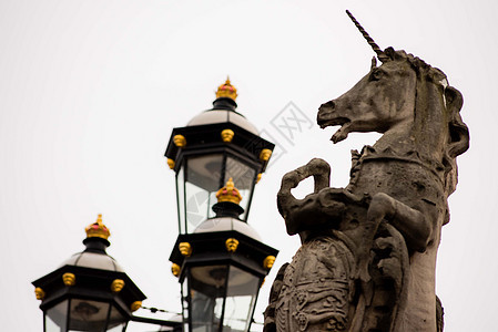 包括在伦敦白金汉宫外的一头独角兽和狮子雕像 注宗教城市纪念馆旅游地标饲养灯柱旅行纪念碑金子图片