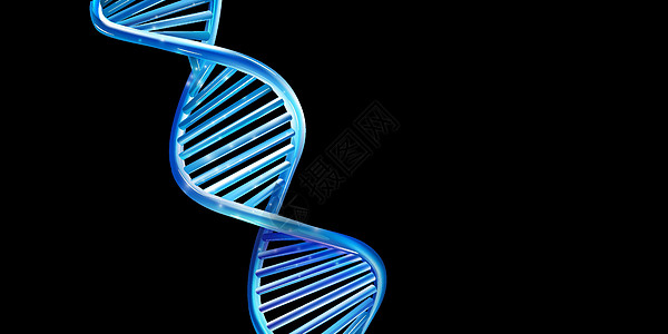 黑色背景的蓝色发光DNA模型图片