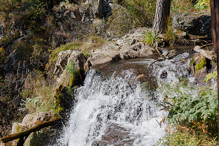 高质量野外强大瀑布的特写悬崖公园森林风景力量流动溪流旅行岩石荒野图片