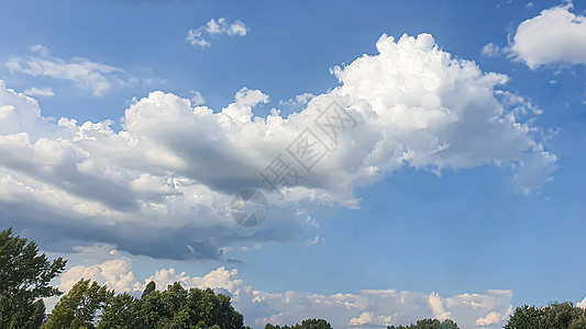 蓝天有云 飞鸟和绿树枝 夏季自然 大自然羽毛体积蓝色气候空气射线雷雨燕子环境地平线图片