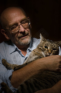 成年男人和猫咪在一起小猫黑色乐趣灰色眼镜背景男性宠物胡须动物图片