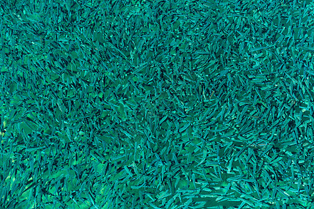 鱼类背景生产钓鱼人群池塘盘旋游泳浅滩团体农业鱼池图片