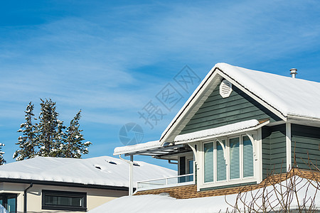 加拿大阳光明媚的冬天天下雪 住家最豪华图片