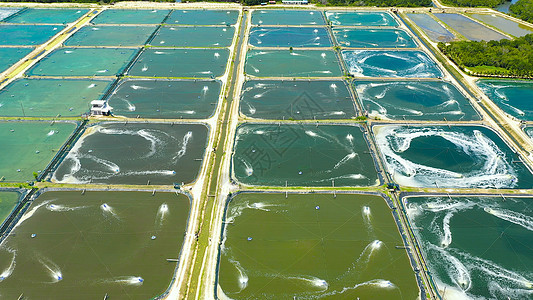 菲律宾的虾养殖业水产环境水池海洋鱼池农场农业养殖钓鱼池塘图片
