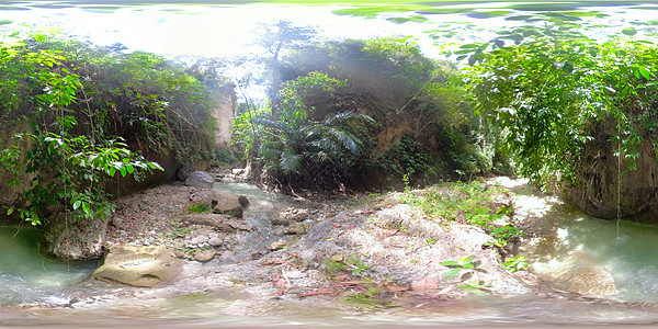 热带雨林的河流360VR图片