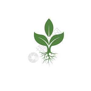 植物或树图标矢量插图设计模板图片