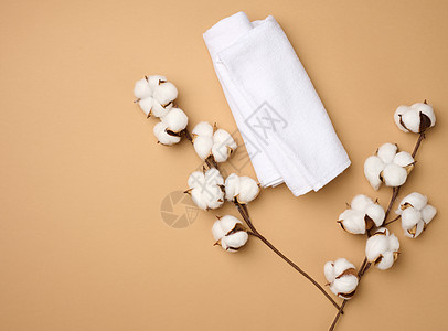 白色白棉毛巾和棉花花在浅棕色背景的顶层风景上材料洗衣店折叠纤维浴室工作室枝条柔软度植物织物图片