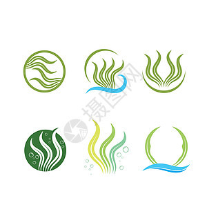 海藻图标矢量插图设计模板黑工生物杂草植物藻类海洋野生动物食物螺旋生态图片