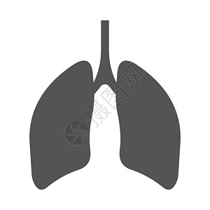 肺人类呼吸器官剪影呼吸道肺图片