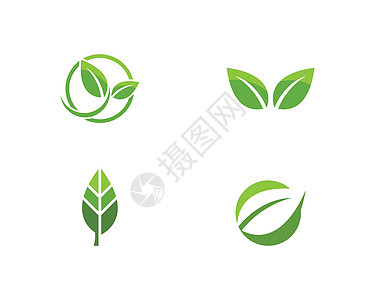 树叶矢量标志设计商业生物植物蔬菜绿色插图标识环境生长生态图片