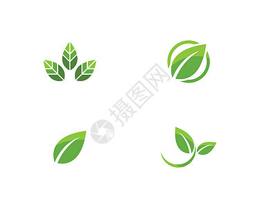 树叶矢量标志设计生物标识植物商业蔬菜环境生长生态绿色插图图片