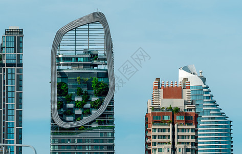 现代城市中的环保建筑 可持续玻璃建筑垂直花园中的绿树 用于减少热量和二氧化碳 办公楼绿化环境 走绿色概念图片