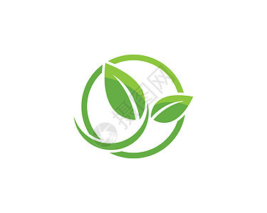 树叶矢量标志设计商业环境生长生物绿色植物生态蔬菜插图标识图片