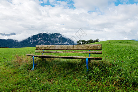 一个平静的休息和放松的地方 一个空的木板凳 瑞士森林公园孤独天空寂寞场景叶子座位木头图片