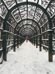 冬季公园的人旅游栅栏天气小路气候城市游客花园旅行图片