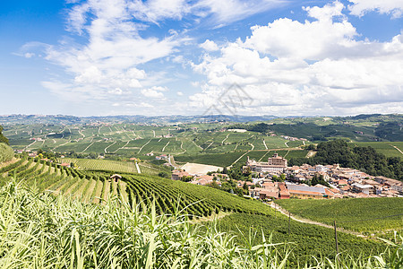 意大利皮埃蒙特地区的大片农村 有著名的Barolo城堡的风景葡萄园山山坡葡萄园全景旅游藤蔓旅行叶子观光爬坡乡村图片