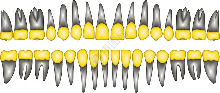 3D金冠嘟嘟技术员白色插图药品诊所牙齿自行车关心牙医金子图片