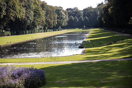 公园本拉特城堡建筑学树叶地标树木池塘树枝历史性绿色天空蓝色图片